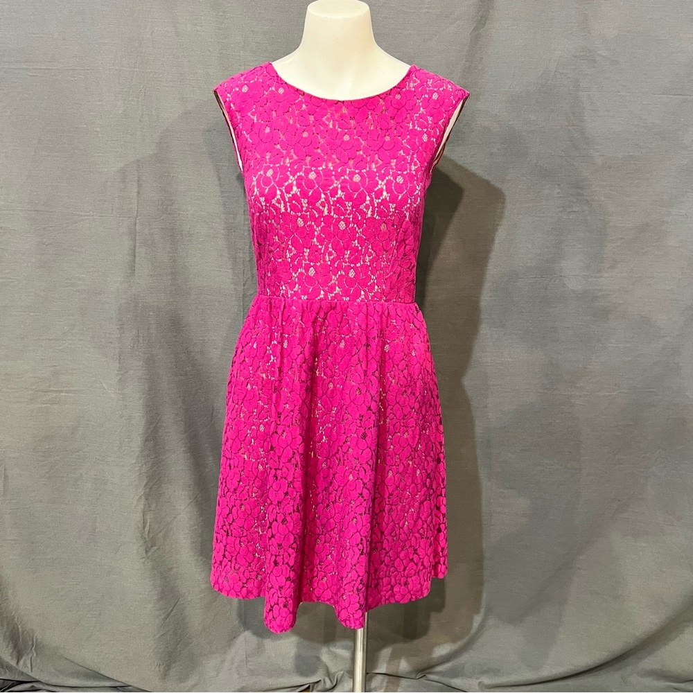 Silhouette Fuchsia Lace Mini Dress